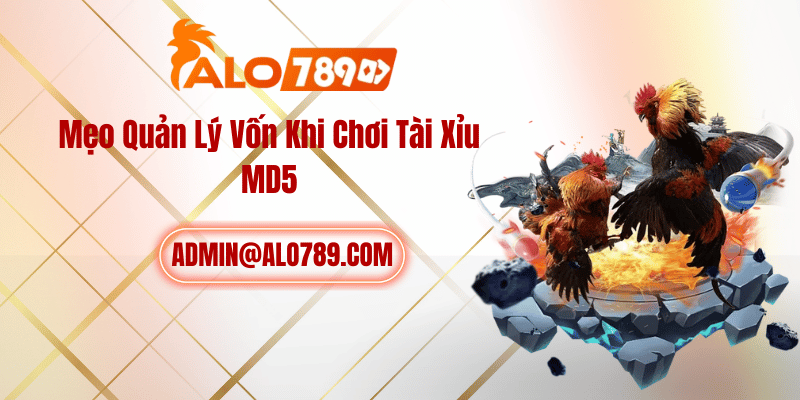 Mẹo Quản Lý Vốn Khi Chơi Tài Xỉu MD5