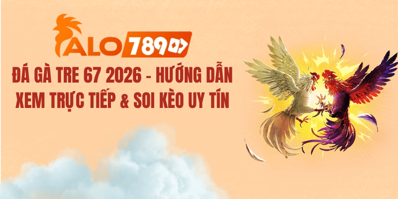 Đá Gà Tre 67 2026 – Trực Tiếp Thomo & Kinh Nghiệm Soi Kèo