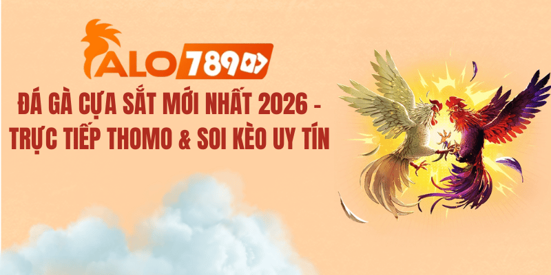 Đá Gà Cựa Sắt Mới Nhất 2026 – Trực Tiếp Thomo & Soi Kèo Uy Tín