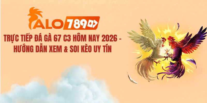 Trực Tiếp Đá Gà 67 C3 Hôm Nay 2026 – Xem Livestream & Soi Kèo