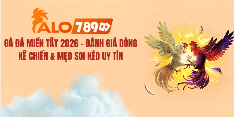 Gà Đá Miền Tây 2026 – Đánh Giá Dòng Kê Chiến & Mẹo Soi Kèo