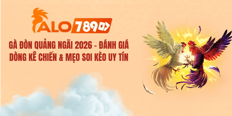GÀ ĐÒN QUẢNG NGÃI 2026 – ĐÁNH GIÁ DÒNG KÊ CHIẾN & MẸO SOI KÈO UY TÍN